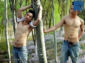 TIỂU NGƯ (BỘ ẢNH 1 A)